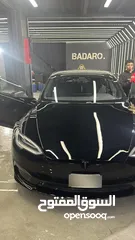  15 Tesla S Palid