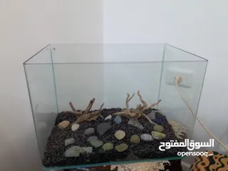  1 حوض اسماك كريستال