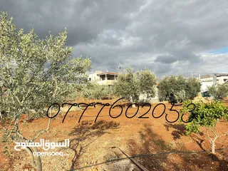  18 مزرعة لقطة مميزة مع بيت طابقين مطلة ومرتفعة