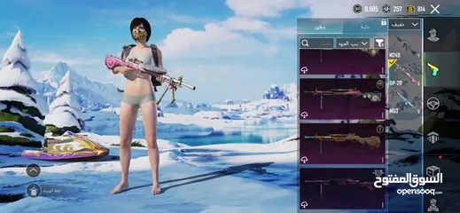  22 أحساب ببجي البيع