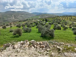  1 ارض مميزة 5 دونمات باجمل مواقع بيت امرين على قمة جبل كوشان طابو