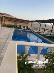  21 مزرعة ابو احمد البلوطي
