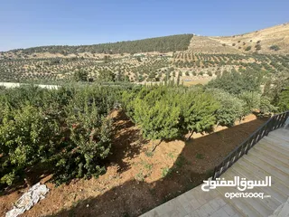  10 مزرعة و شاليه مميزة للبيع في منطقة الكمشة - الزرقاء
