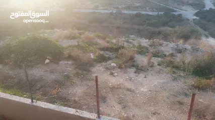  1 قطعة ارض للبيع في طولكرم بلدة فرعون