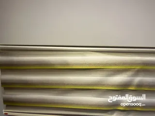  1 برادي زيبرا