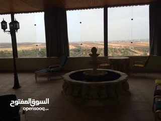  12 للبيع: مزرعة زيتون استثنائية مع منزل واسع مكوّن من 4 طوابق