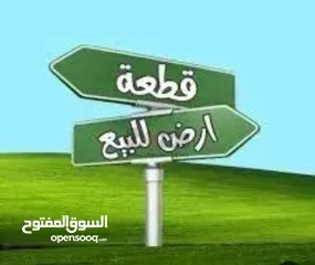  1 ارض للبيع طولكرم ذنابة