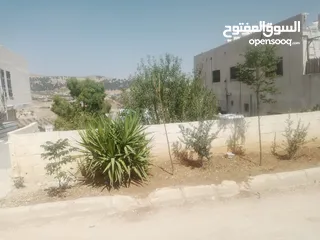  17 منزل مستقل جرش اسكان عجرمه  3غرف نوم 2حمام  صاله مع مطبخ امريكي  بلكونه  حديقه مساحه الارض 305