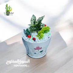  10 توزيعات للمناسبات والهدايا  وقواوير زينة داخل المنزل