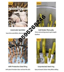 5 معاطات جاج