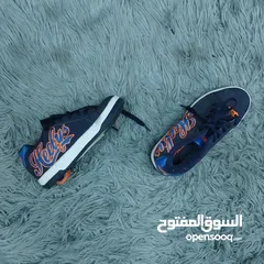  7 (   2025 ) Skat VIP