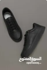  12 البيع بالجملة فقط