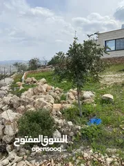  27 بيت ريفي مع مزرعة