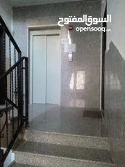  3 ابو زين ابراهيم