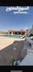  30 (مزرعه للايجار اليومي والحفلات اكبر بركه سباحه بالمنطقه 4 غرف نوم طريق المطار بالقرب من المطار