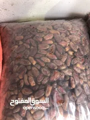  1 سح برني و بولارنجه