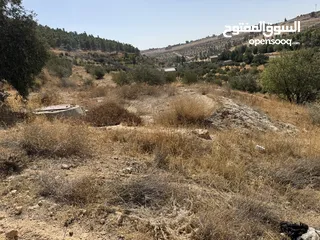  7 ارض للبيع نادرة