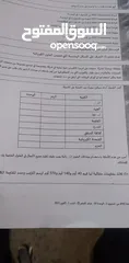  19 مدرس فيزياء للمراحل الثانويه بفروعها