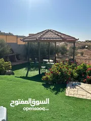  22 مزرعة 10 دونمات مع شاليه و مسبح للبيع