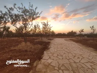  8 أرض 750 م للبيع في ناعور - أبو الغزلان- 5 كم عن كازية السلام