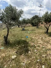  3 ارض للبيع جرش المجدل مطله على سد الملك طلال