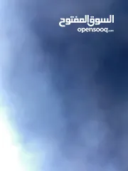  1 كمبريسة كندشن