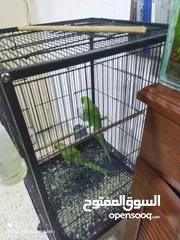  2 2 درة واحد اليف ولتاني غير الايف للبدل تابع وصف