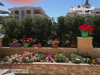  1 Ground floor apartment for rent (Daily or weekly) in Deir Ghbar..with garden