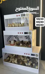  1 حاضنات للصيصان OSCAR