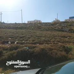  6 قطعه ارض للبيع مساحه 793 متر مربع  في عمان - ناعور - وادي الكبرا خلف محطه السلام طريق البحر الميت