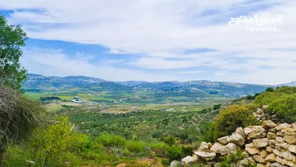  1 ارض معروضة للبيع 15
