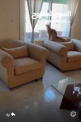  3 طقم جلوس امريكي في حالة جيده جدا