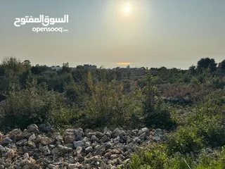  1 Land for Sale Monsef Jbeil Area 1660Sqm