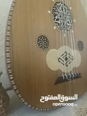  3 عود شامي احترافي للبيع