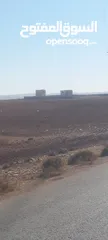  11 ارض للبيع شرق جامعة العلوم والتكنولوجيا