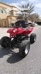  6 Quad 250cc Model 2022 automatic D N R gear sale