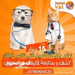  21 خدمات بيطرية متكاملة للحيوانات الاليفة
