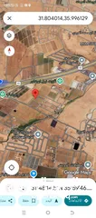  2 9 دنمات  الذهبيه الغربيه حوض الخربه الشمالية شارع عمان التنموي طريق المطار ايكيا بجانب مشروع الشهد4