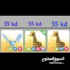  3 للبيع حيوانات ادبت