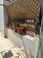  5 شقه طابقيه