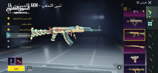  13 حسـاب ببجي نوادر سيزون 2