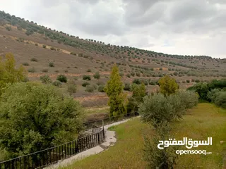  14 مزرعه مع 2 بيت ريفي مخدومه ماء وكهرباء مساحتها 4712