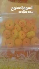  12 معمولاتي بنقشاتي