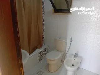  12 شقة للايجار