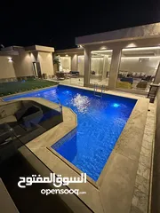 8 مؤسسة الوادي الأخضر للمقاولات العامة ( مسابح - شاليهات - مزارع - ديكورات - لاند سكيب )