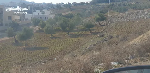  2 قطعة 750م شفا بدران المقرن منطقة فلل بسعر مغري جدا