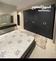  20 شقة مفروشة فاخرة سوبر ديلوكس اعلان رقم (O314)