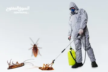  5 مكافحة الصراصير والرمه وبق الفراش مهندس خبره متخصص بمكافحة جميع انواع الحشرات ضمان واسعارنا ممتازه