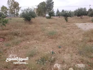  12 أرض ذات إطلالة خلابة في أجمل مناطق جرش