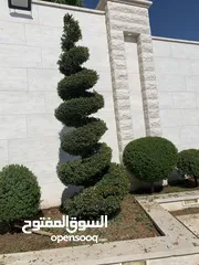 6 فني تنسيق حدائق